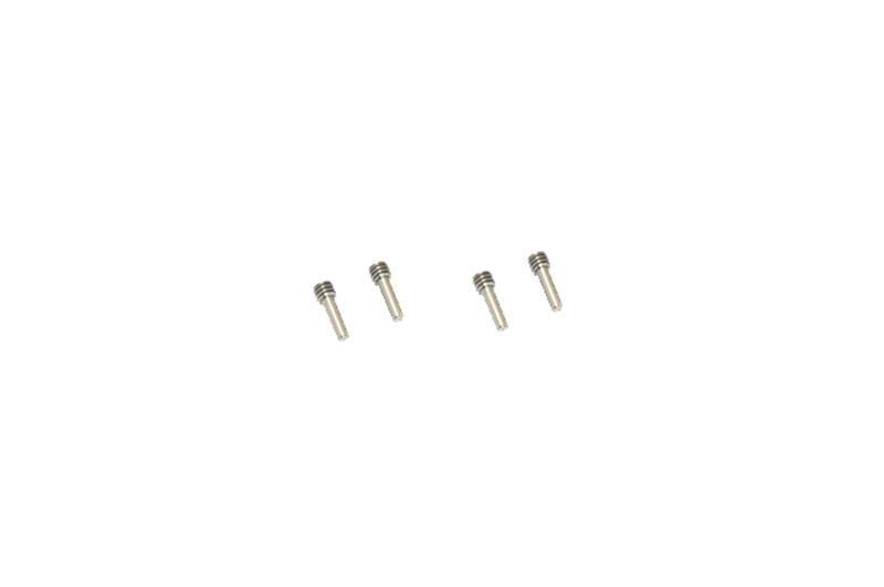 Edelstahl Schrauben-Pins für Hex-Adapter GPMTRX4010
