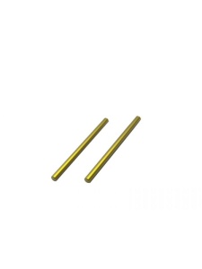 Rear Lower Inner Pivot Pin  F/R- Tini (Spring Steel) (2)